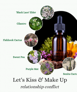 Let's Kiss & Make up relationship conflict flower essence blend