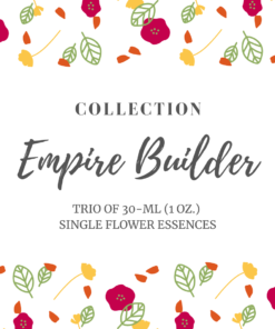 Empire Builder Collection of flower essences
