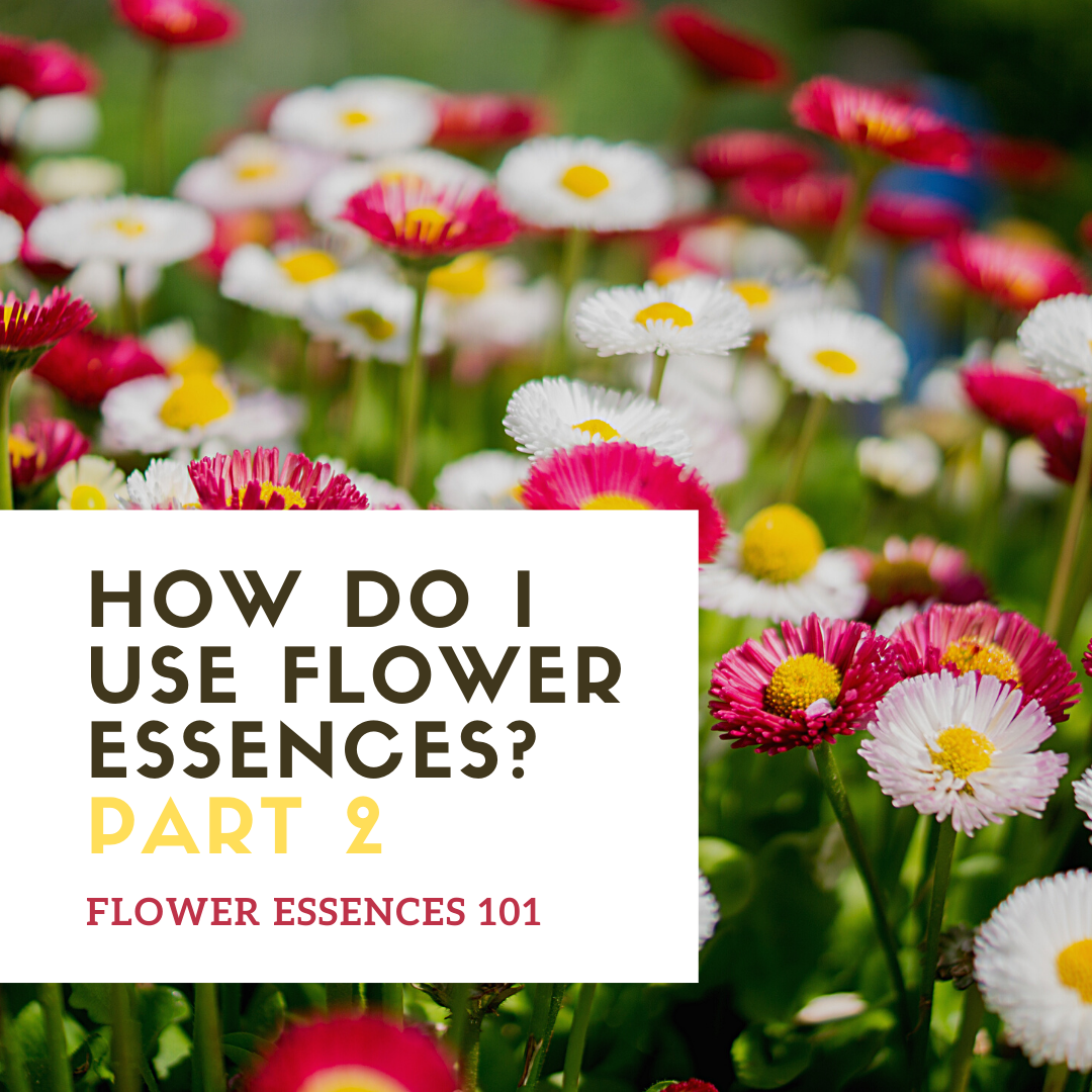Flower Essences 101 How do I use flower essences? Part 2/2 Inner