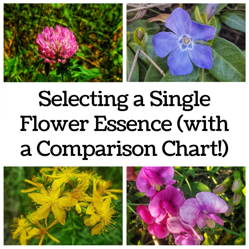 Single flower essence comparison chart