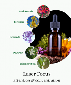 Laser Focus flower essence blend