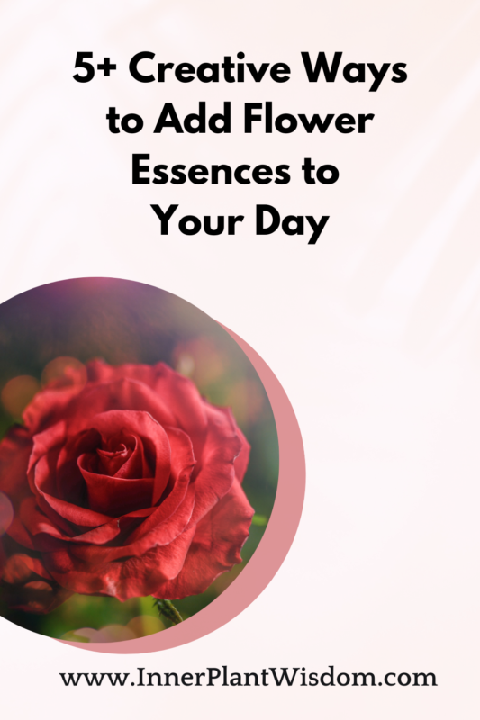 5+ Creative Ways to Add Flower Essences to Your Day